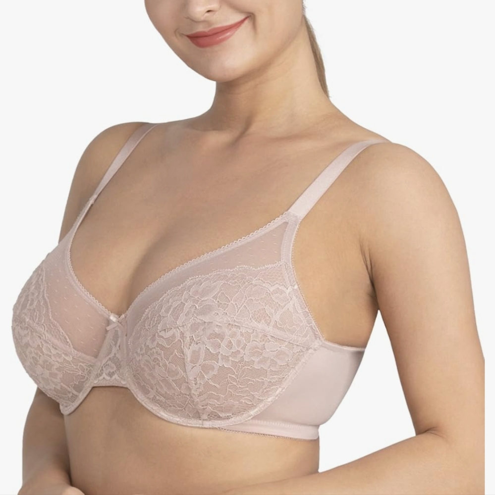 NWT HSIA Pink Lace Minimizer Full Coverage Underwire Bra Size 42G